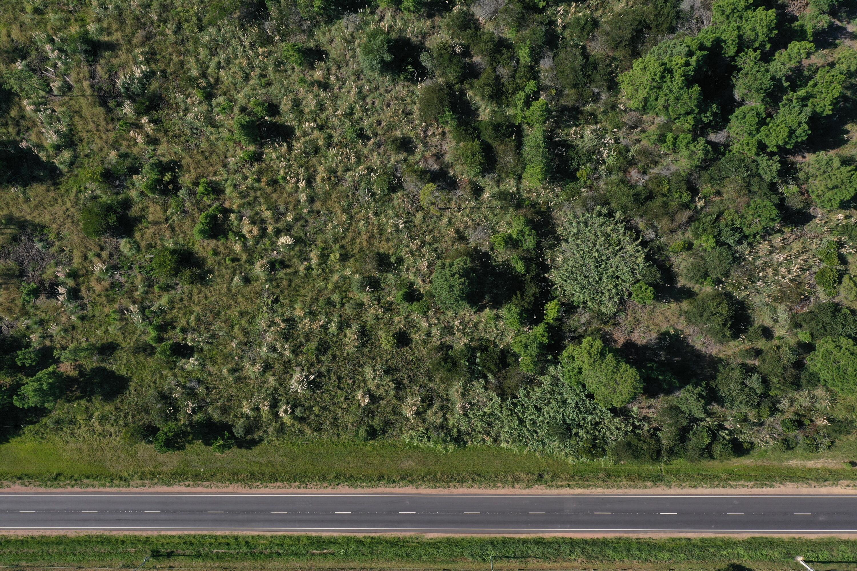 Rocha, Punta del Diablo, Uruguay. - Land