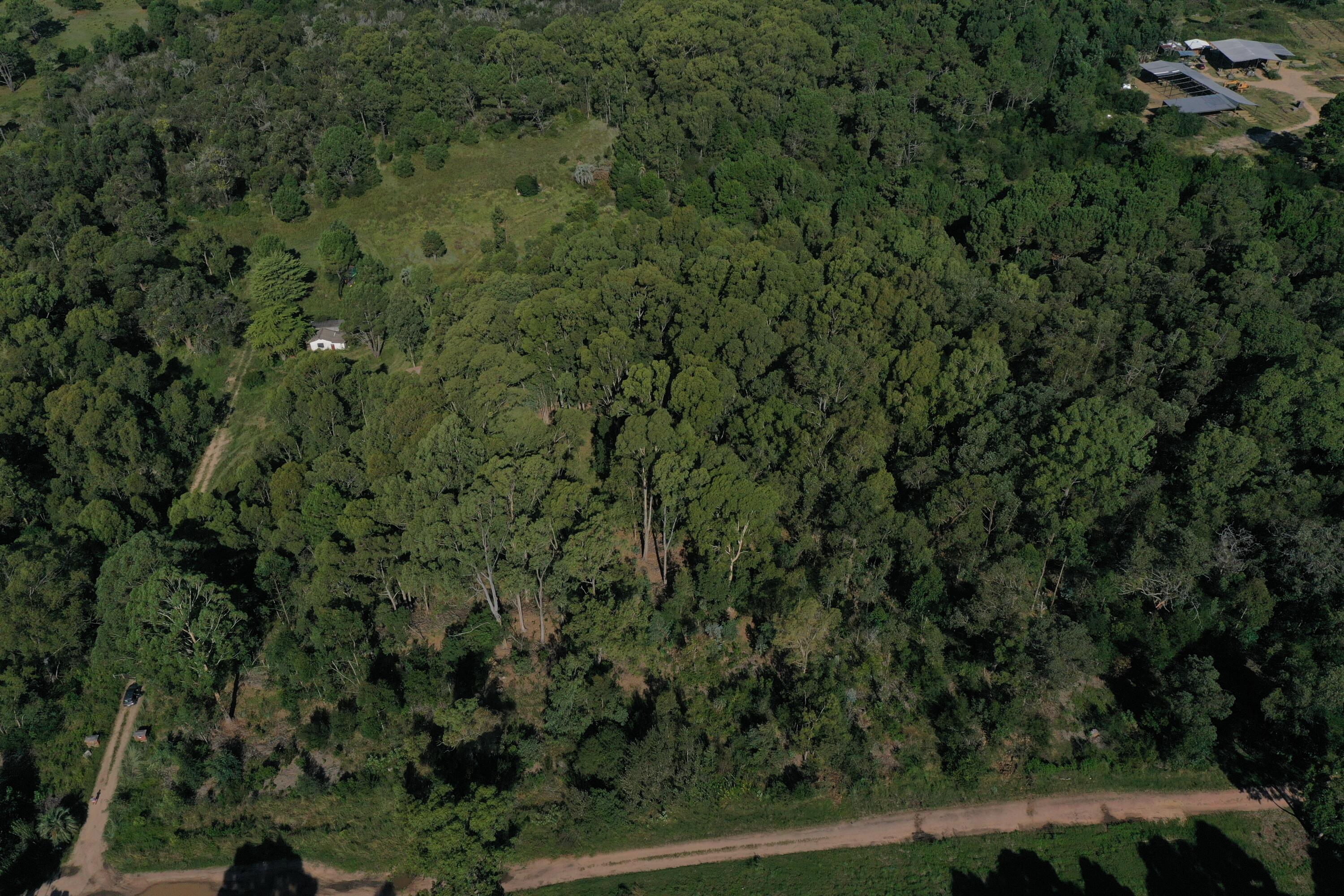 Rocha, Punta del Diablo, Uruguay. - Land