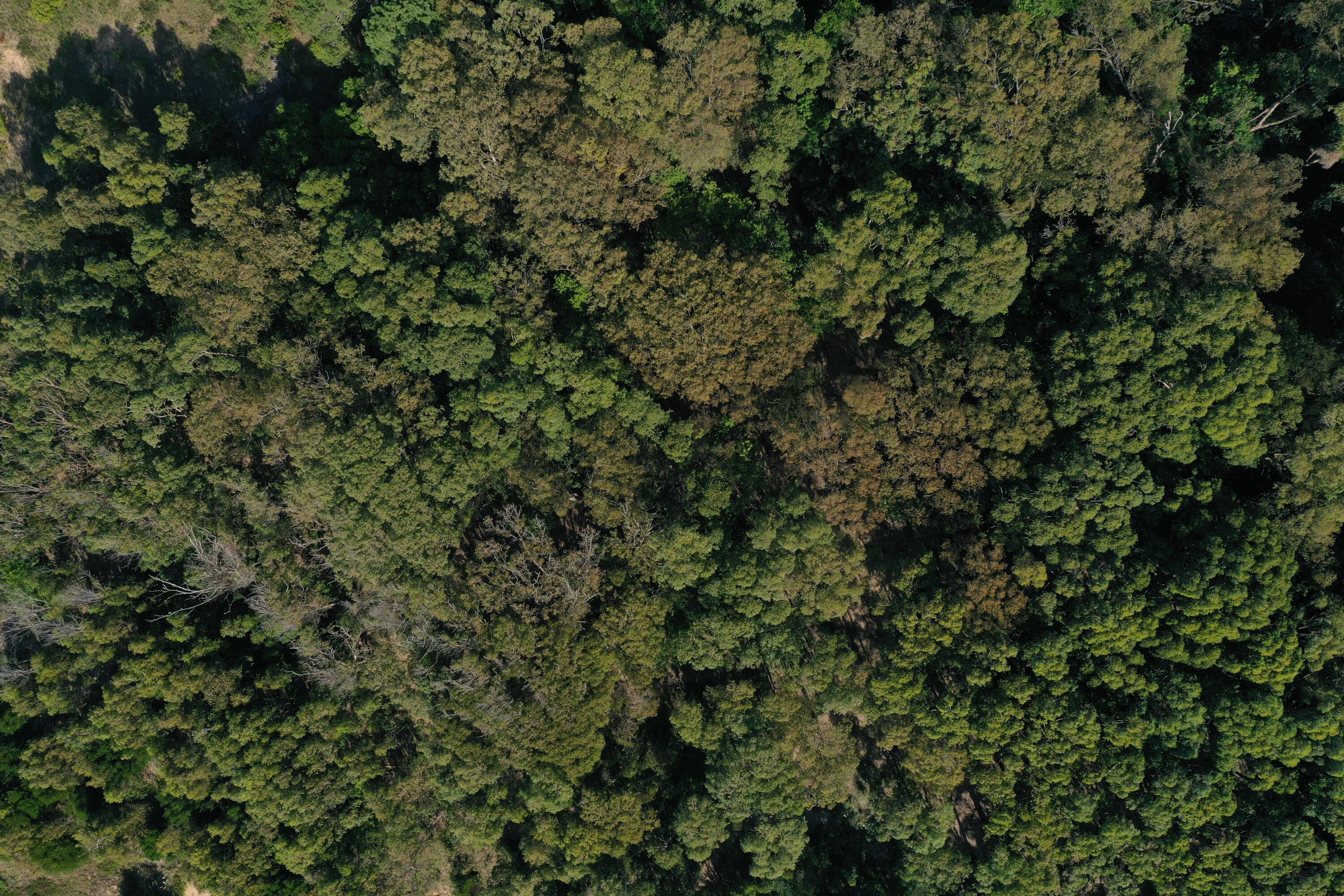 Rocha, Punta del Diablo, Uruguay. - Land