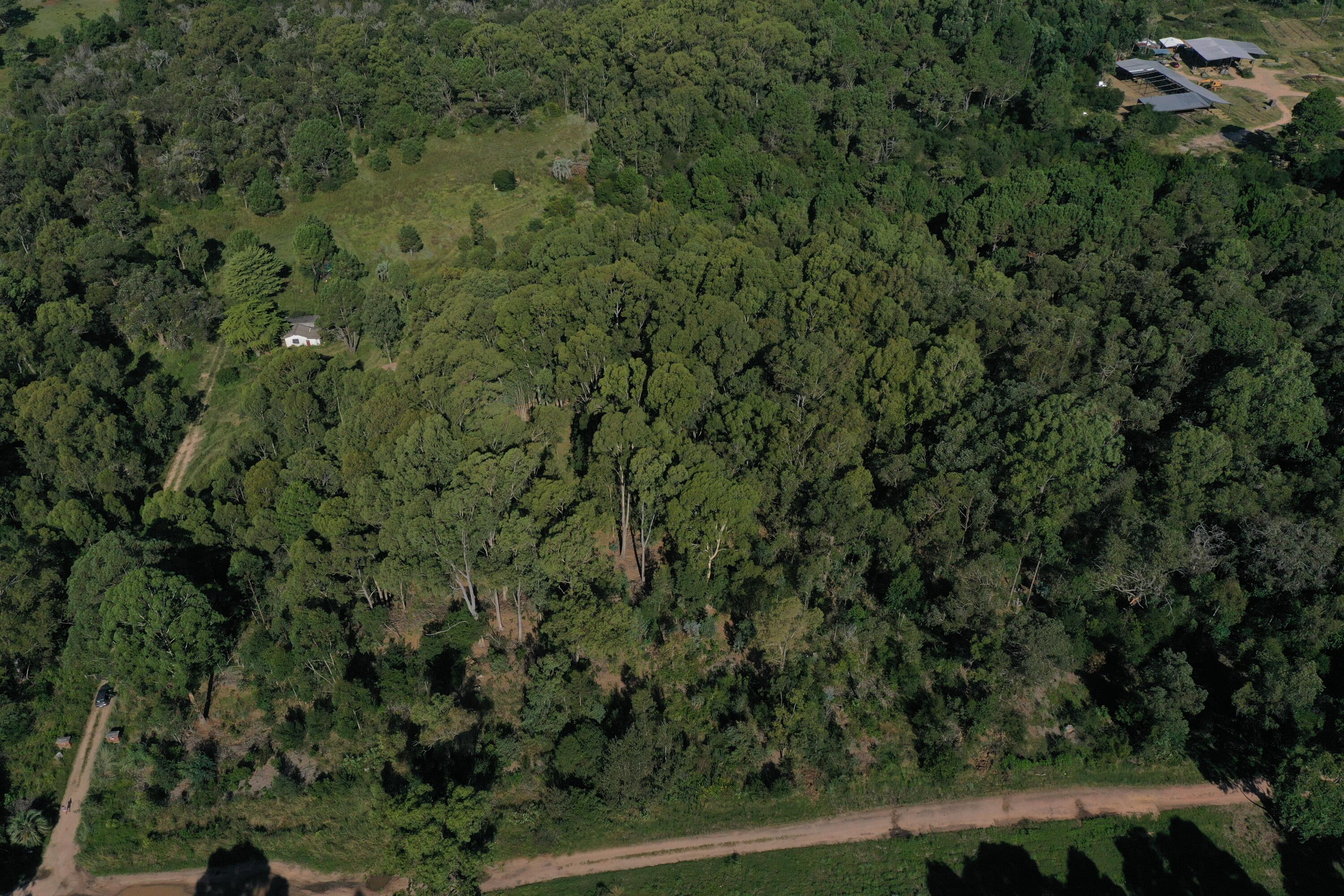 Rocha, Punta del Diablo, Uruguay. - Land