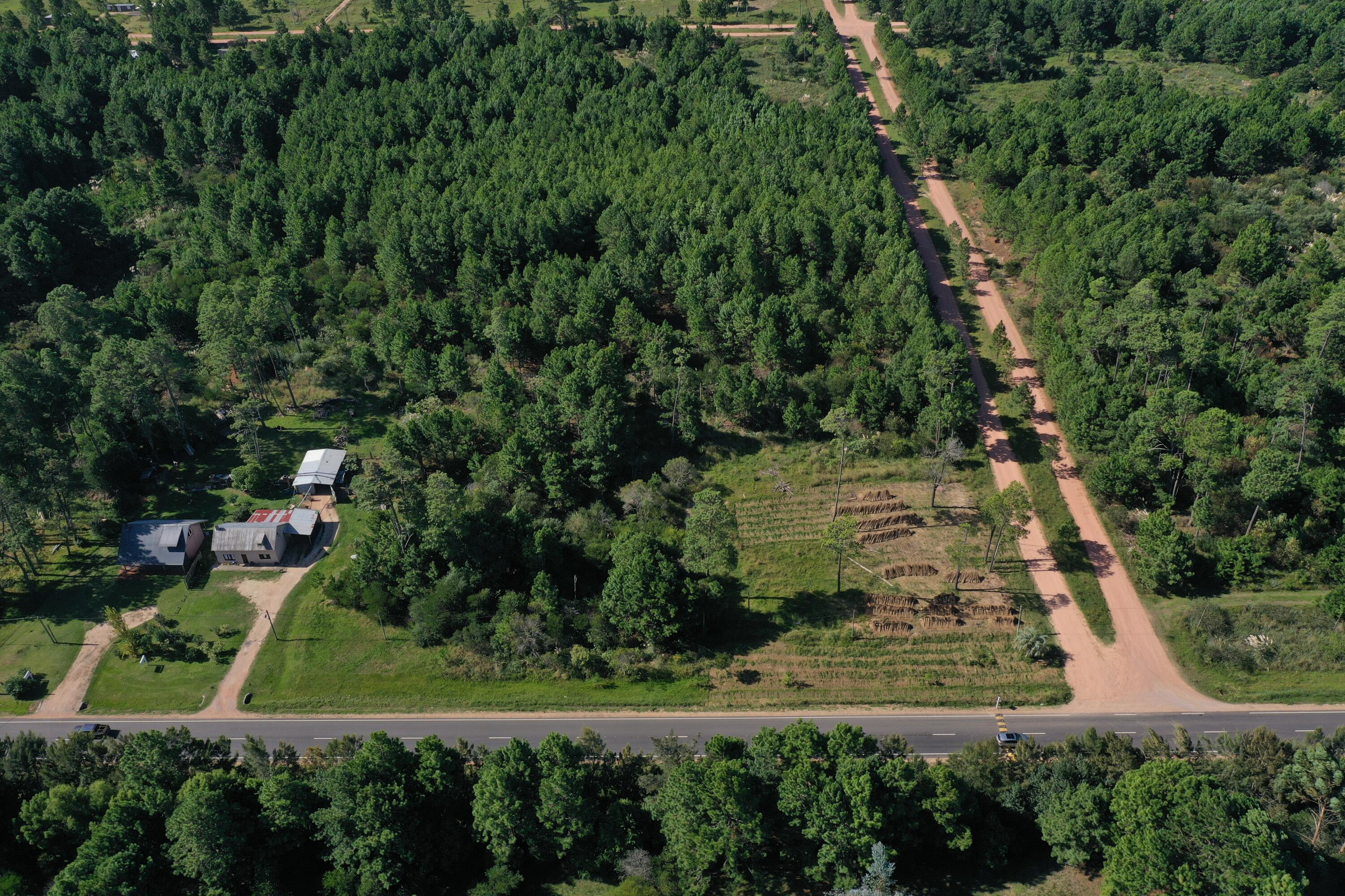 Rocha, Punta del Diablo, Uruguay. - Land