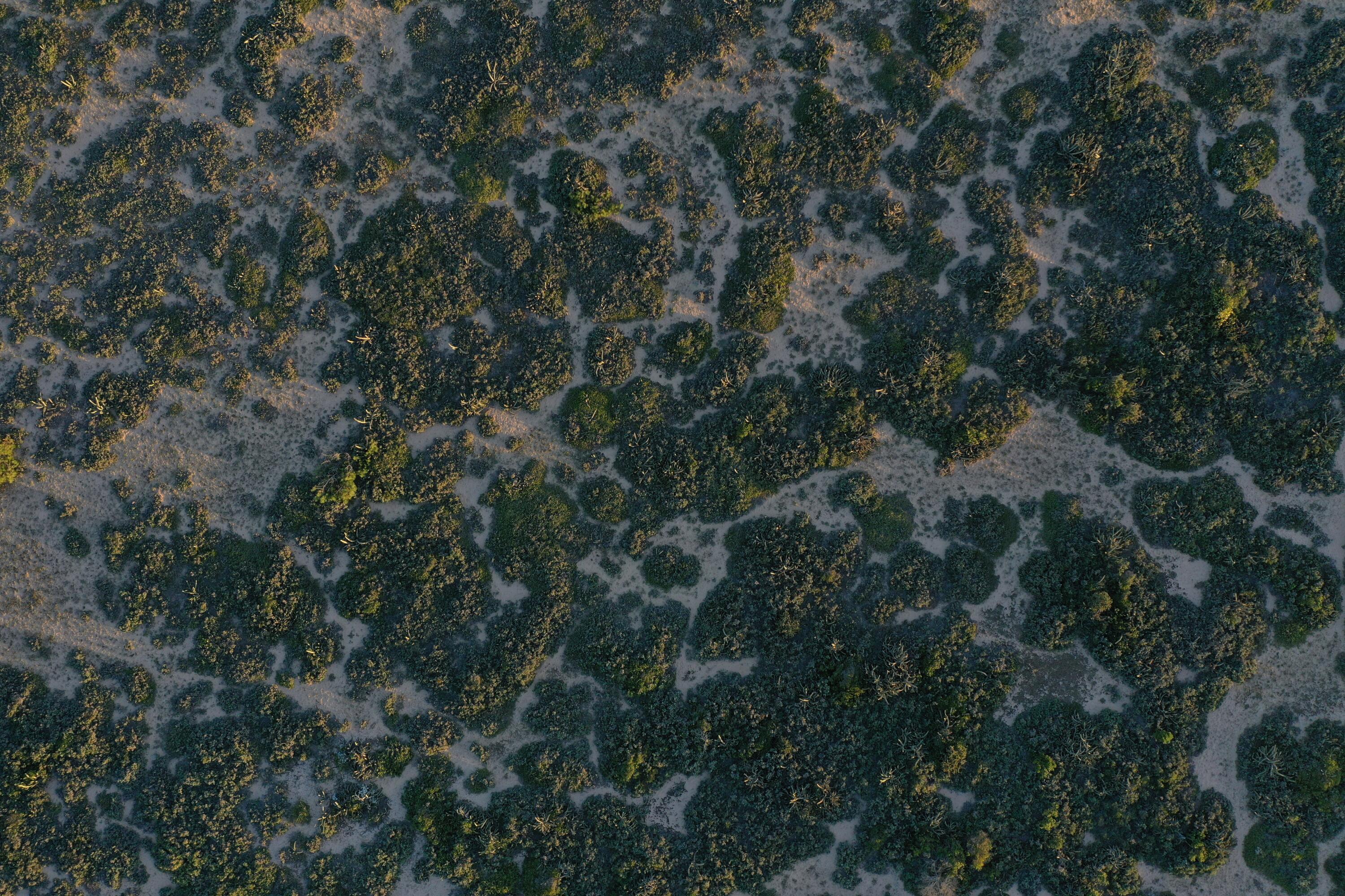 Rocha, Punta del Diablo, Uruguay. - Land