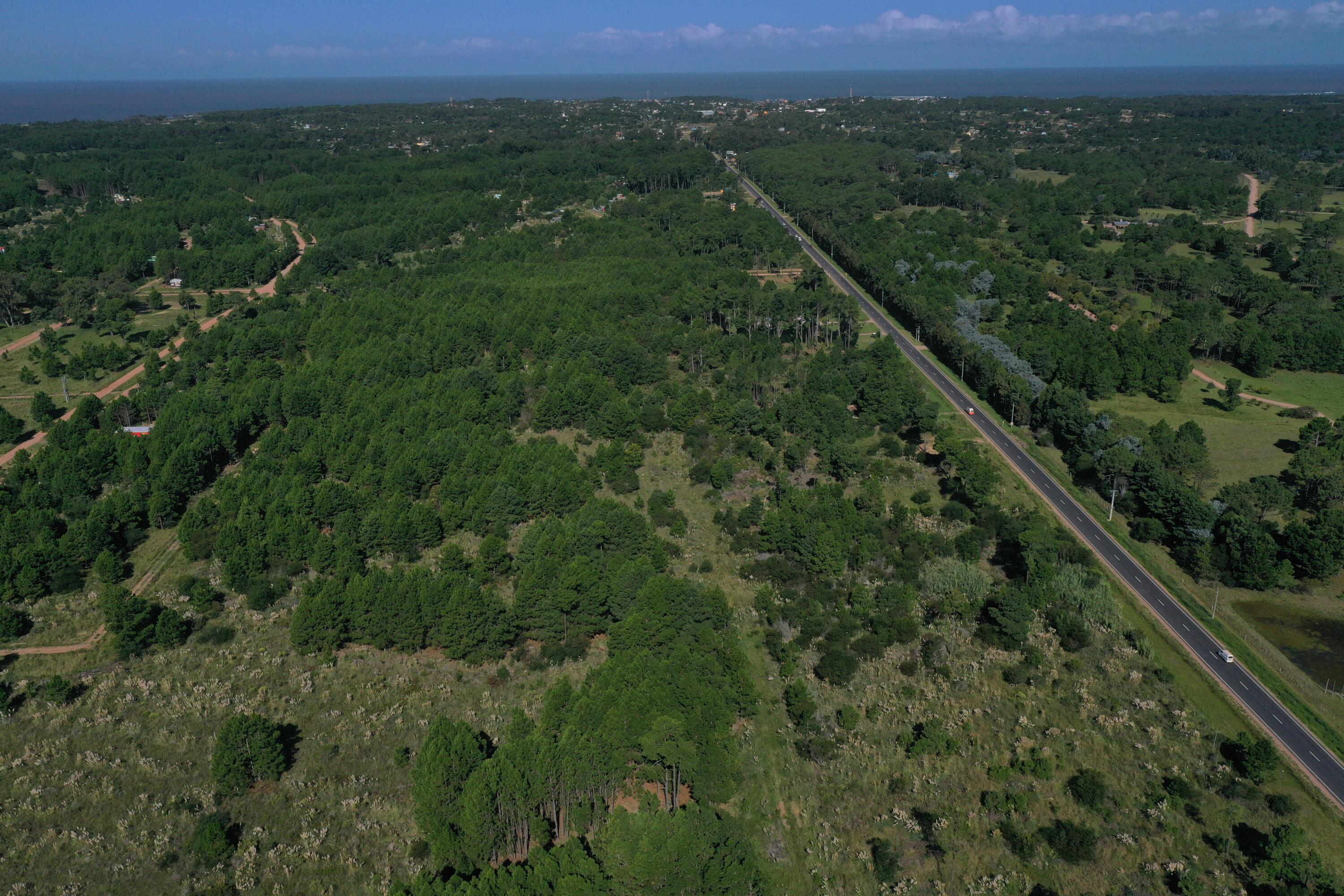 Rocha, Punta del Diablo, Uruguay. - Land