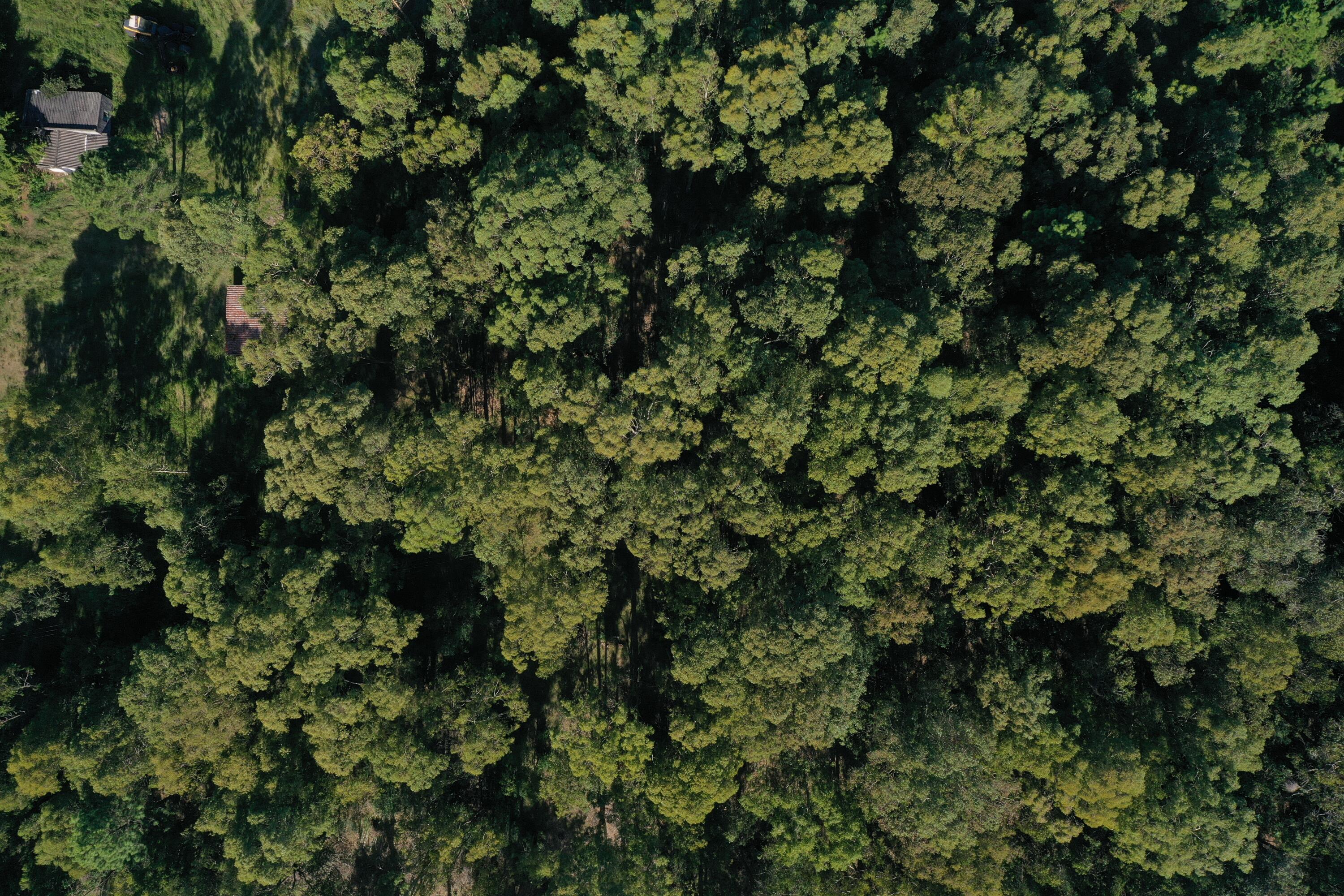 Rocha, Punta del Diablo, Uruguay. - Land
