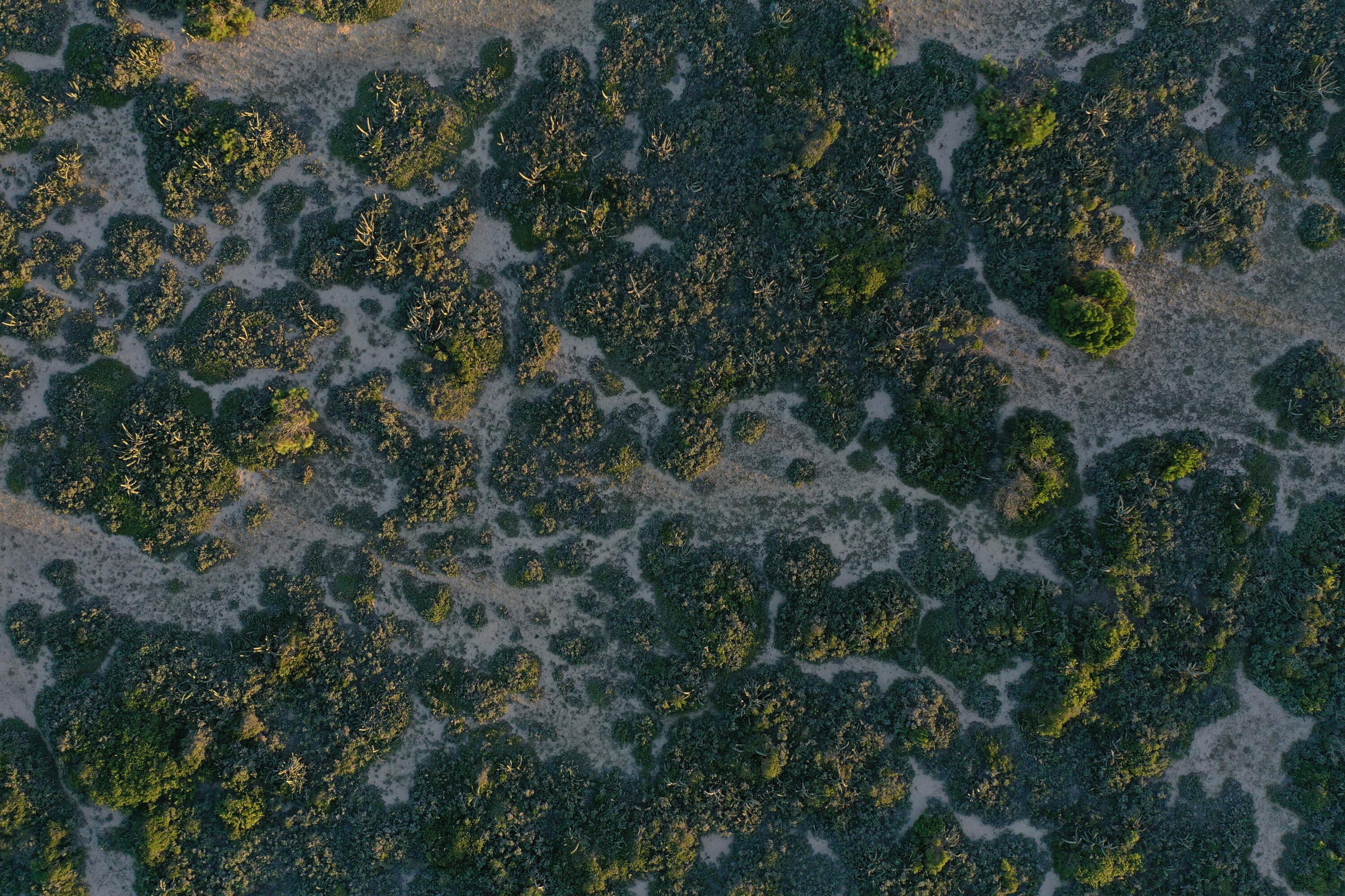 Rocha, Punta del Diablo, Uruguay. - Land