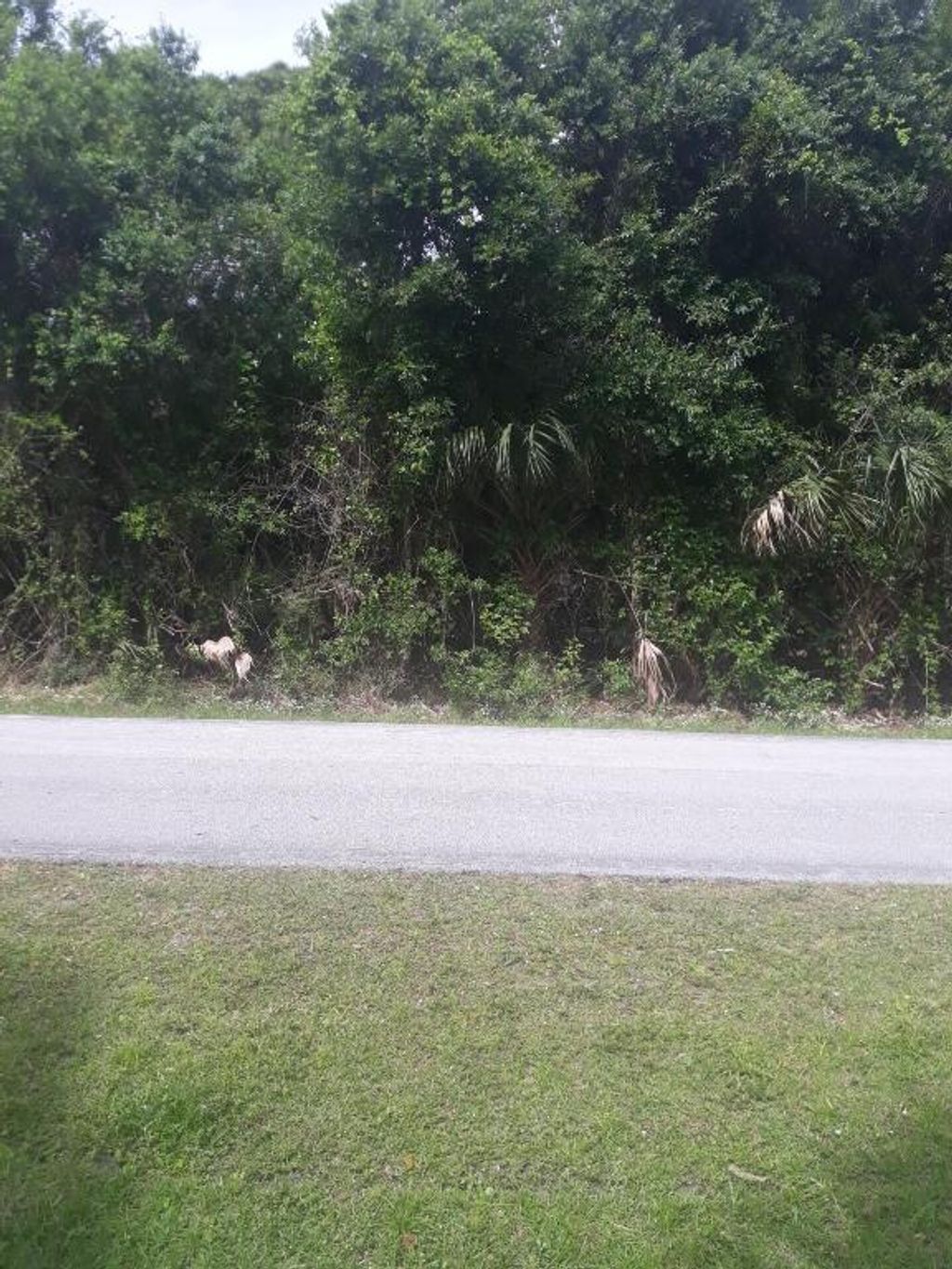 Photo of 0 Seagrape Drive, Fort Pierce, FL 34982 (MLS # R10980659)