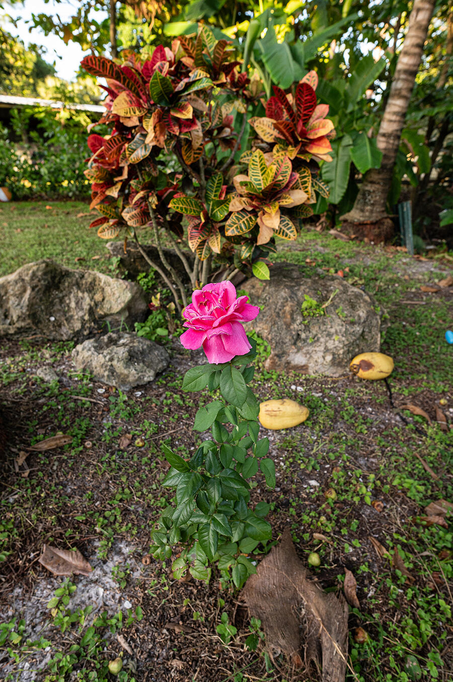 LOXAHATCHEE GROVES - Residential