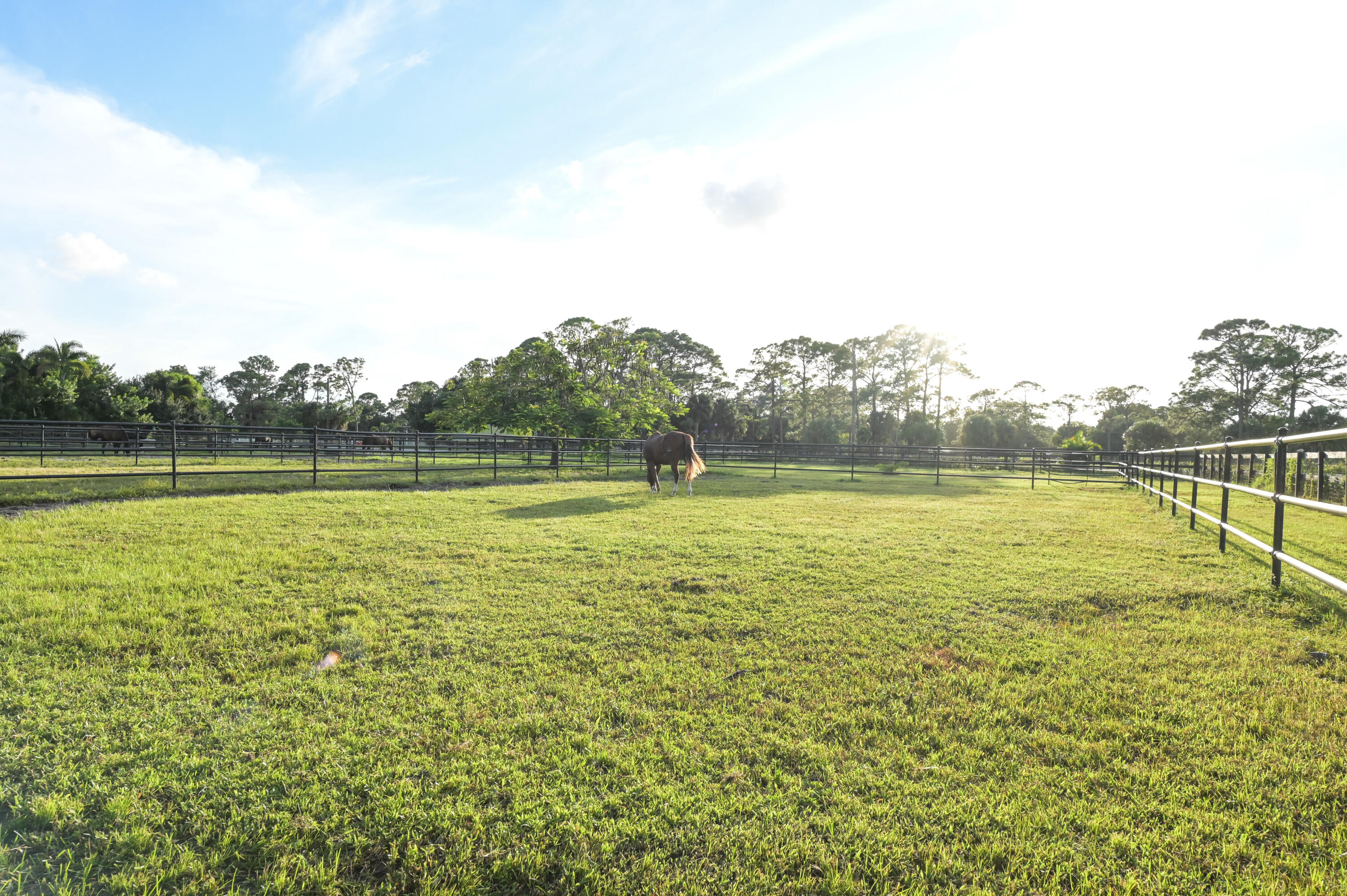 LOXAHATCHEE GROVES - Residential