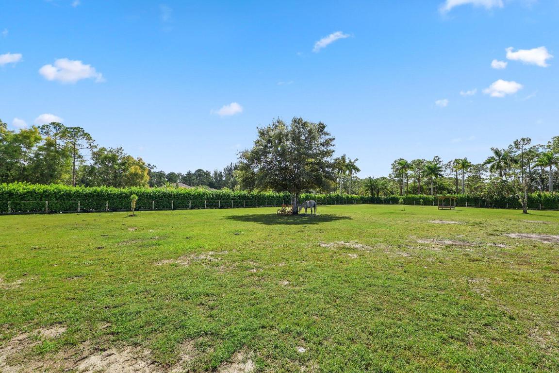 Caloosa - Residential