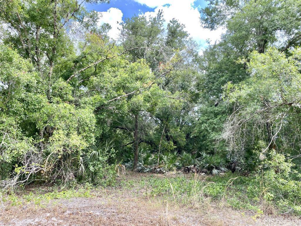 This spacious, serene 2.5 acre lot is perfect for the homeowner who's looking for a little privacy. Buy and build later, or find your favorite builder and start working on that dream home now.
