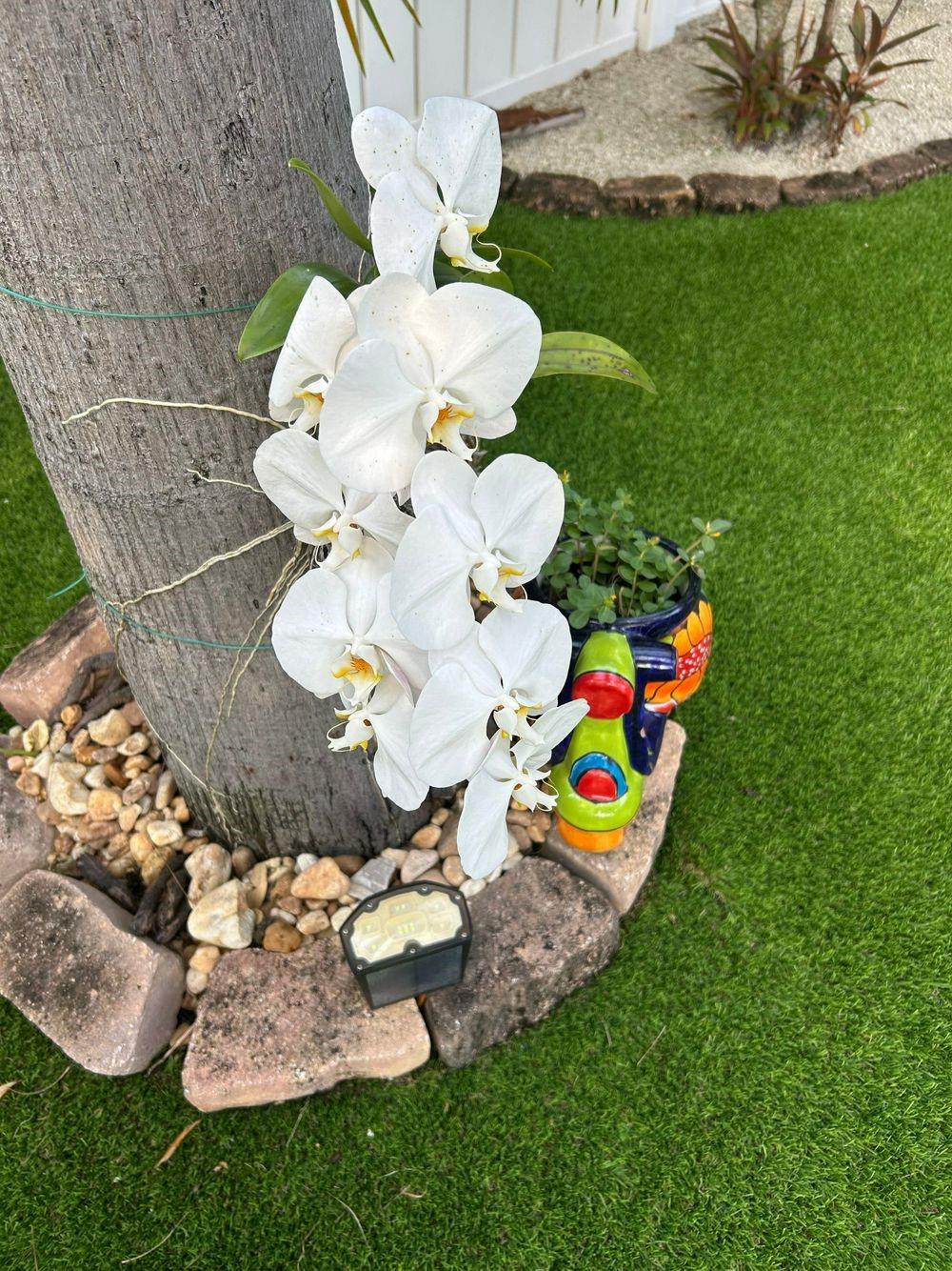 Hollywood Beach Park 12-6 - Residential