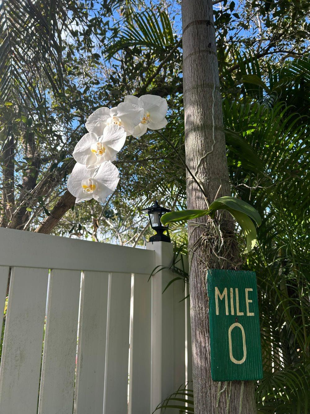 Hollywood Beach Park 12-6 - Residential