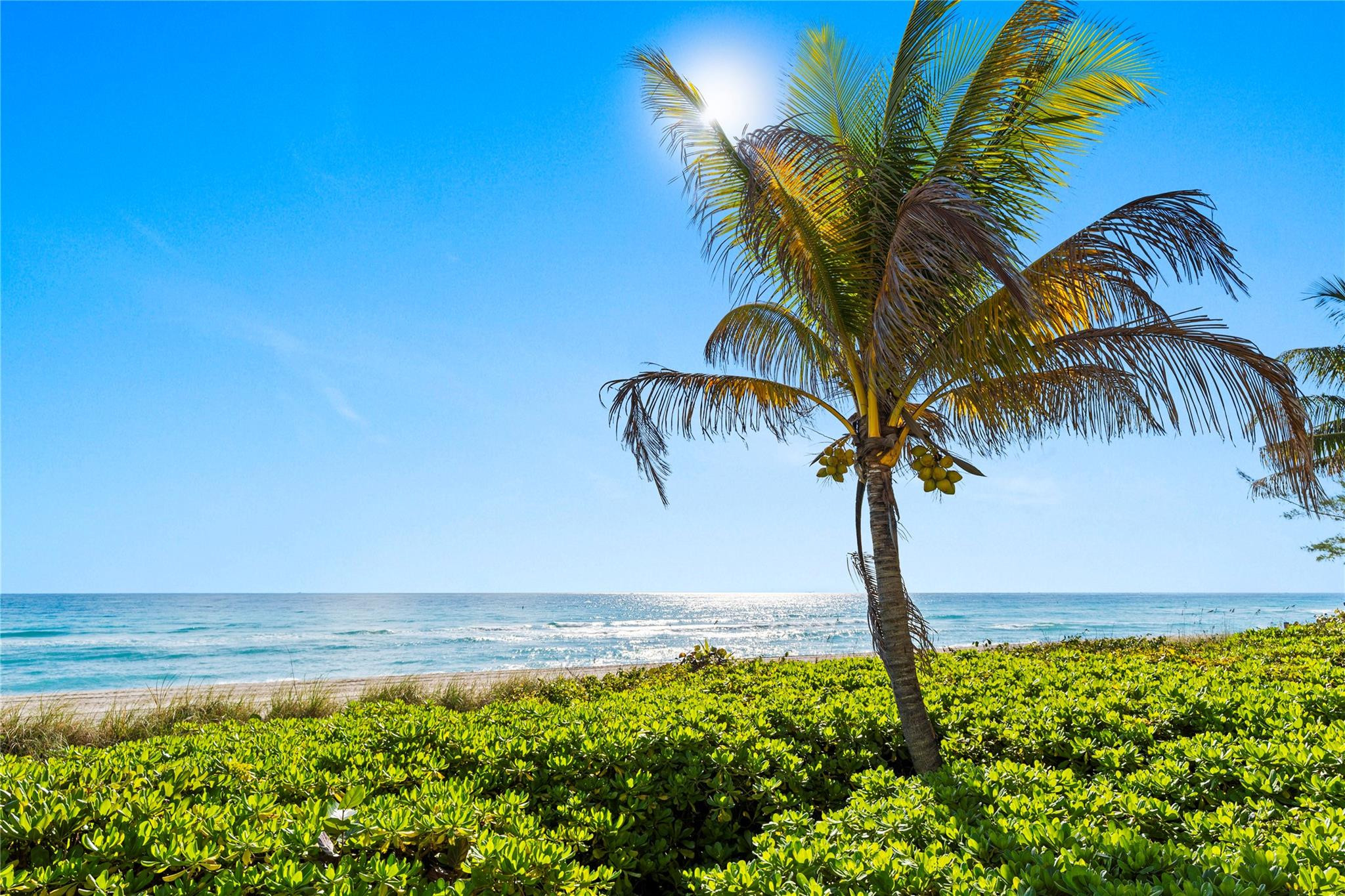 Malaga Towers Condo - Residential Lease