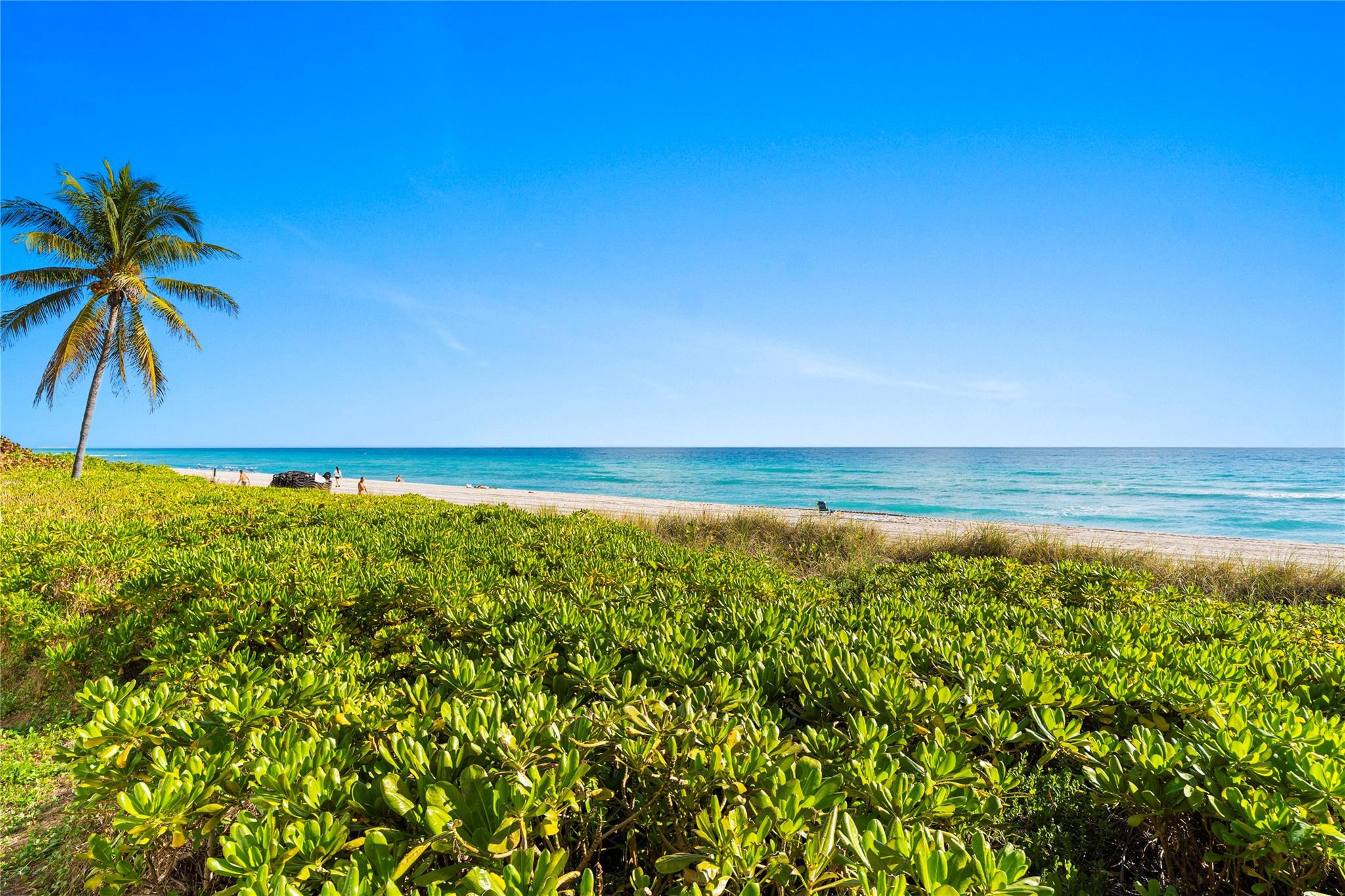 Malaga Towers Condo - Residential Lease