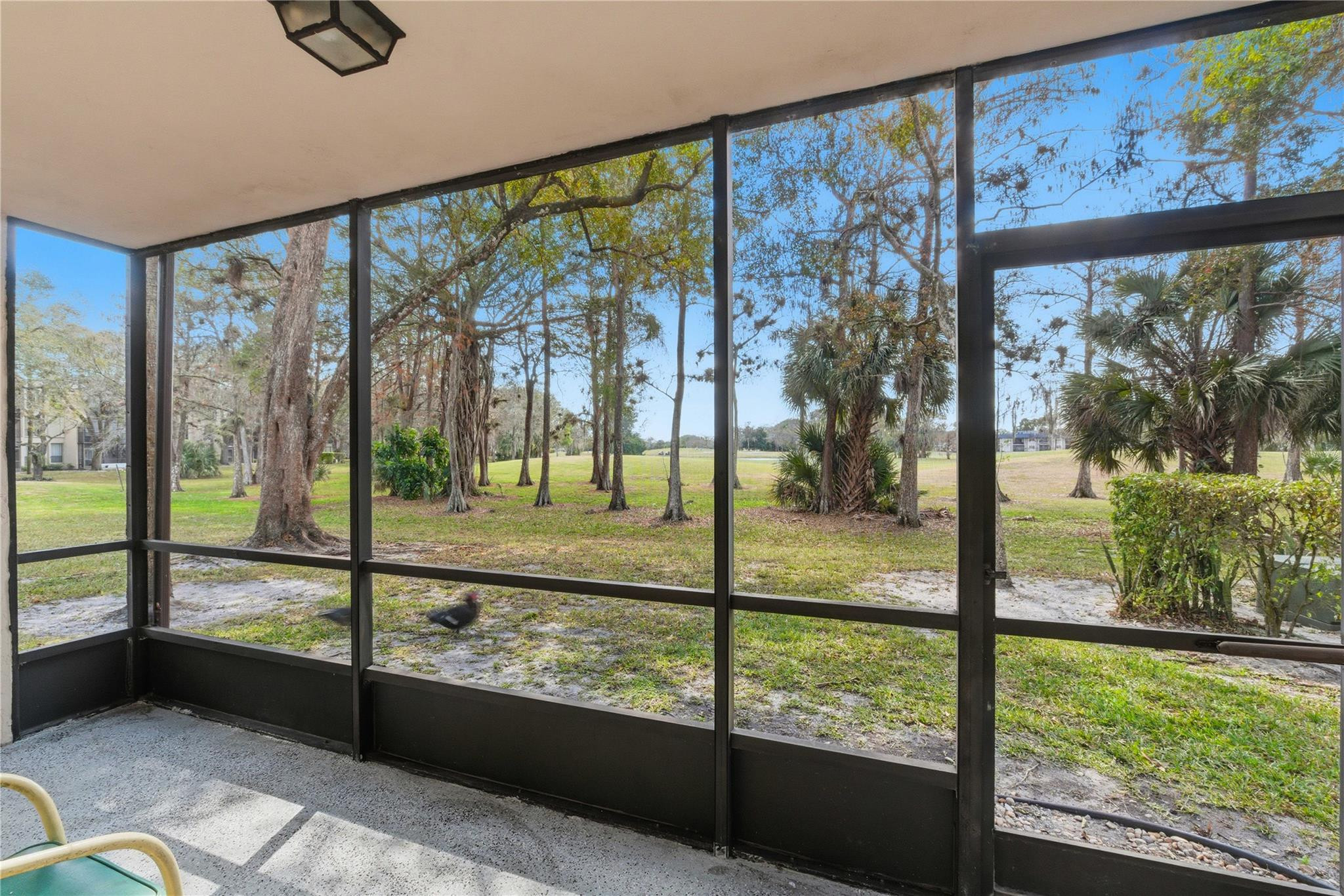 Concord Village - Residential