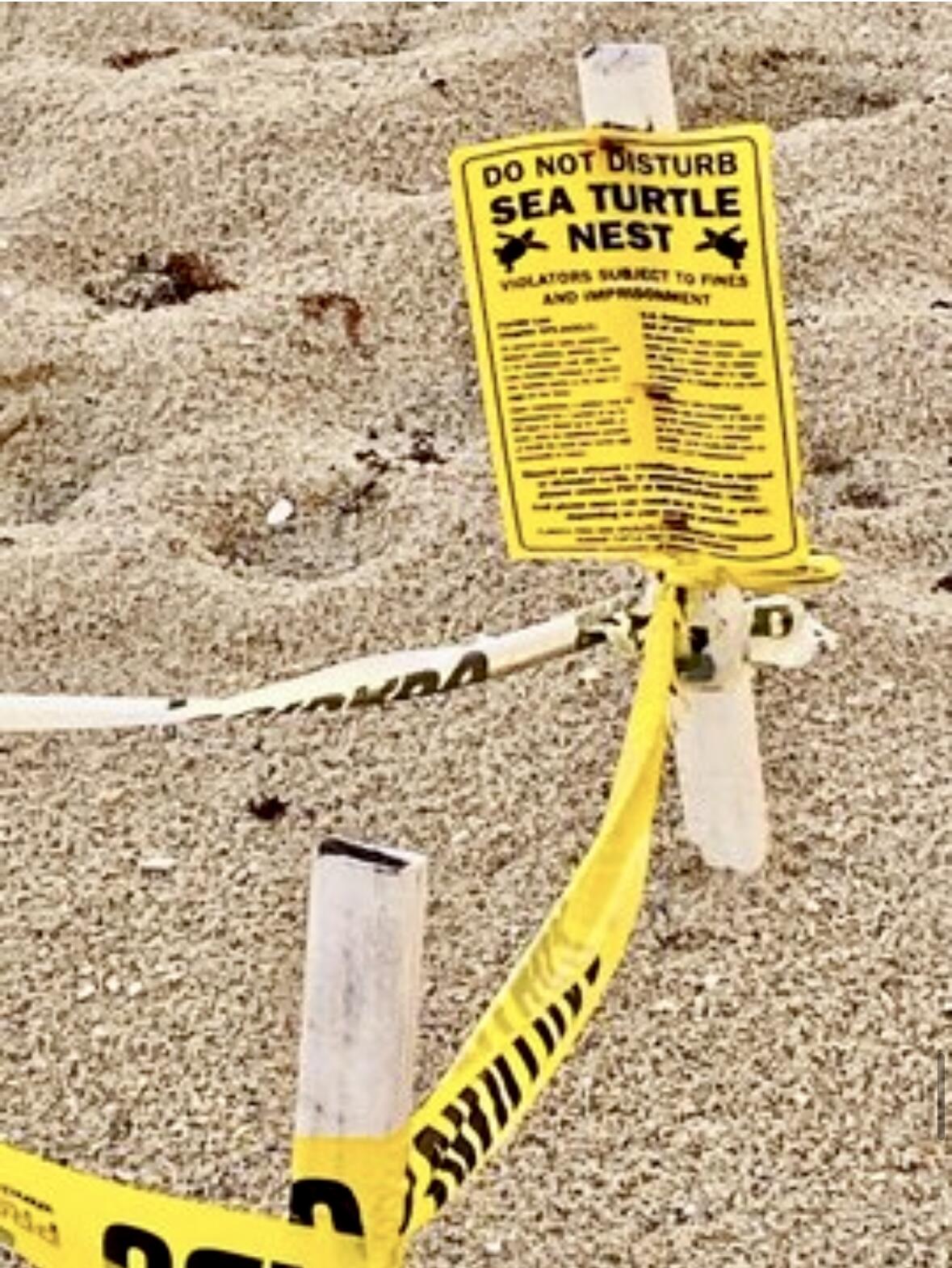 MAYAN TOWERS CONDO I - Residential