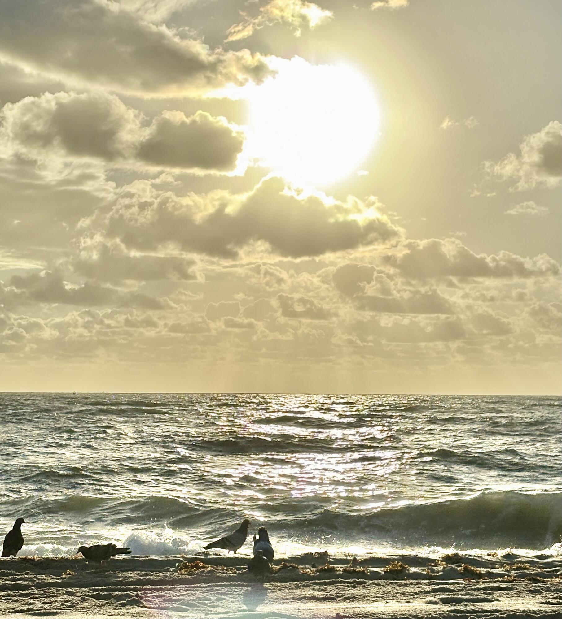 MAYAN TOWERS CONDO I - Residential