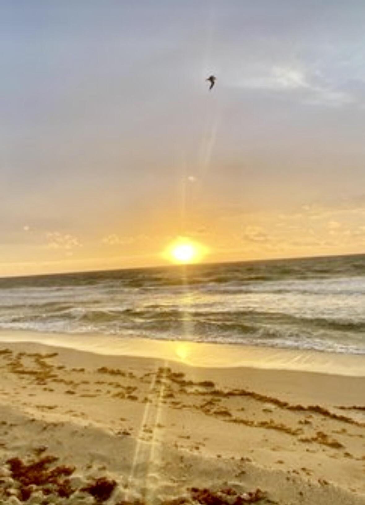 MAYAN TOWERS CONDO I - Residential