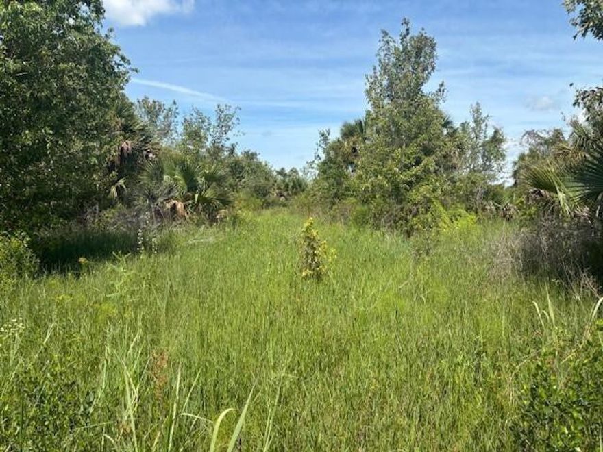 1.25 acre lot in Viking Estates. Close to the Kissimmee Prairie State Park. Bring your 4 -wheelers. This property is not only ideal for recreational uses such has camping, hunting and shooting, but it’s agricultural as well.