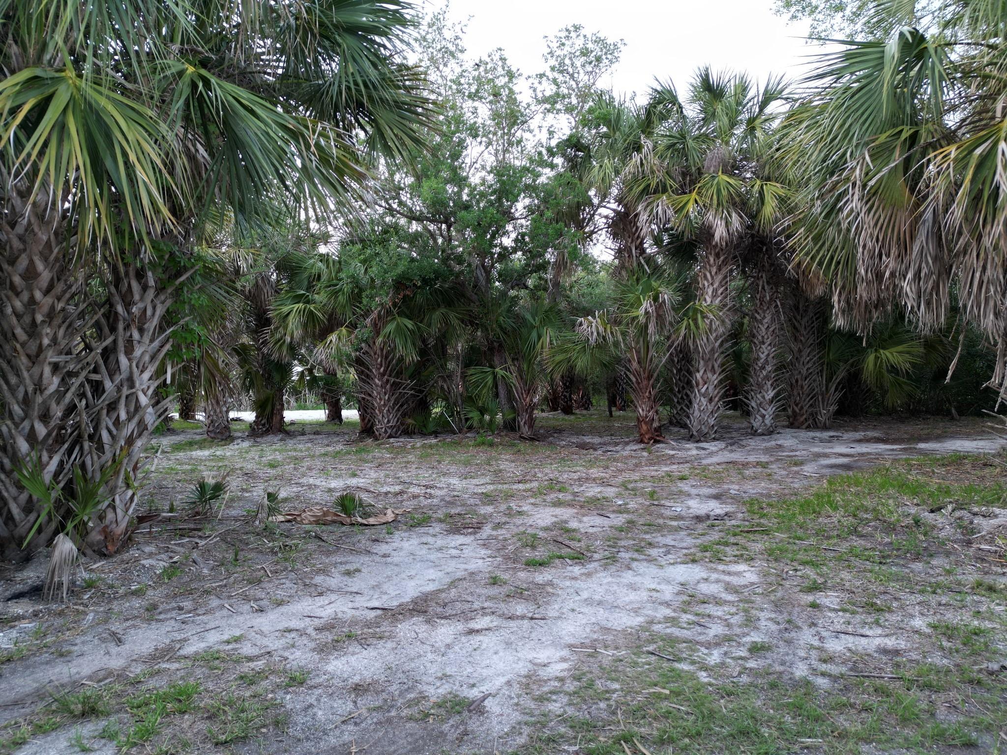 6028 Island Harbor Rd