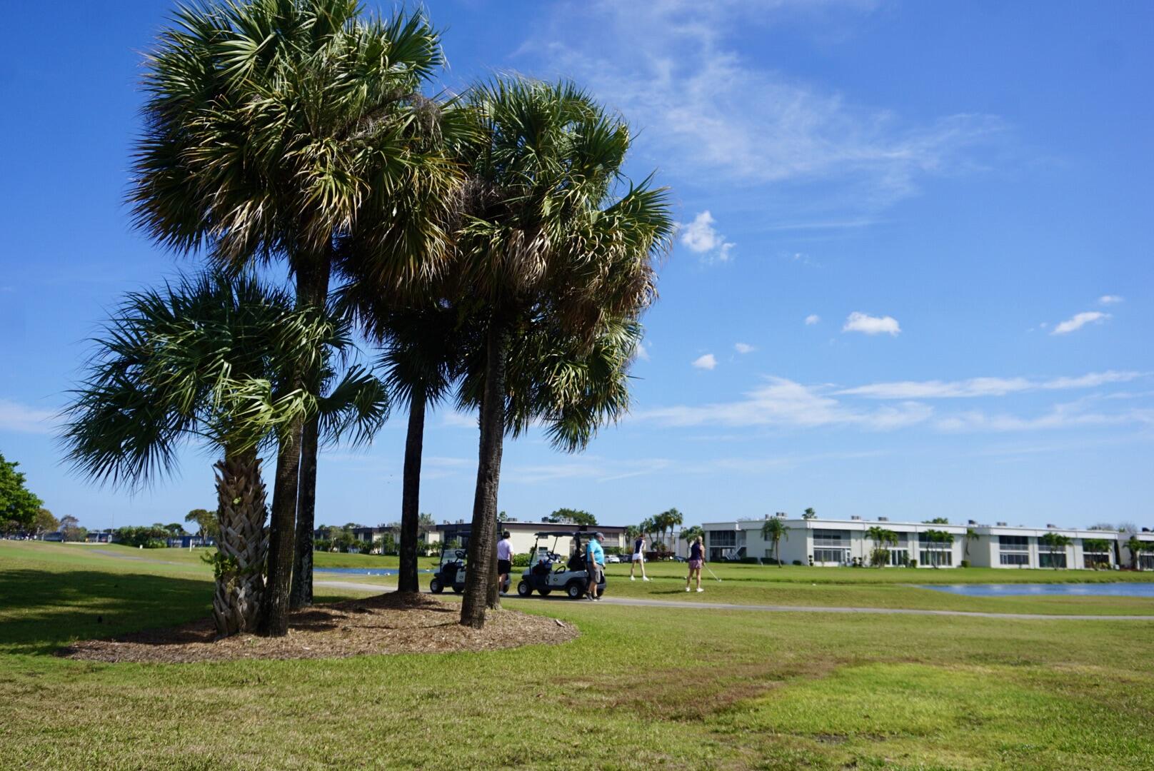 Kings Point Burgundy Condos - Residential