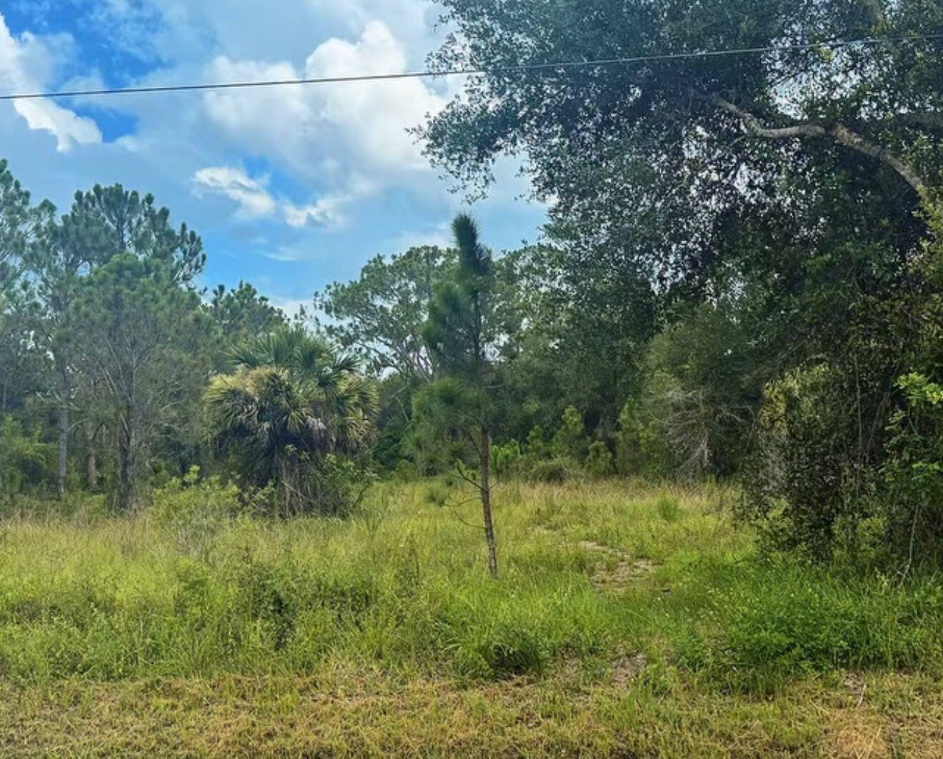 THE WOODLAND S/D - Land