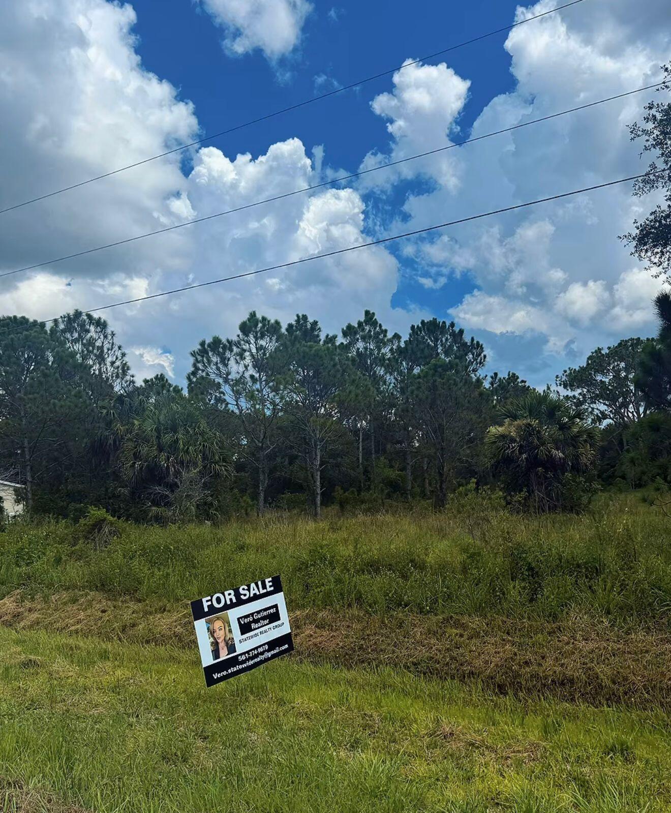 THE WOODLAND S/D - Land