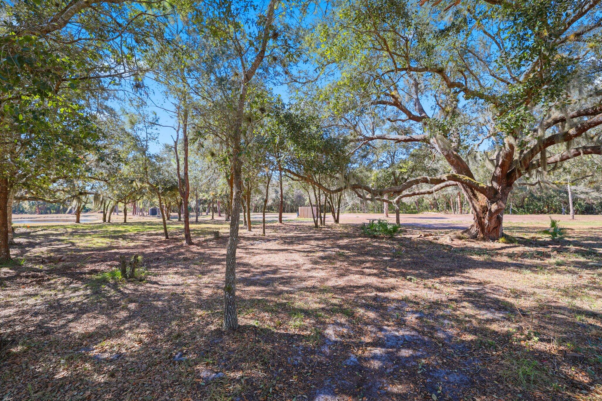 BRIDLEWOOD RANCHES - Residential