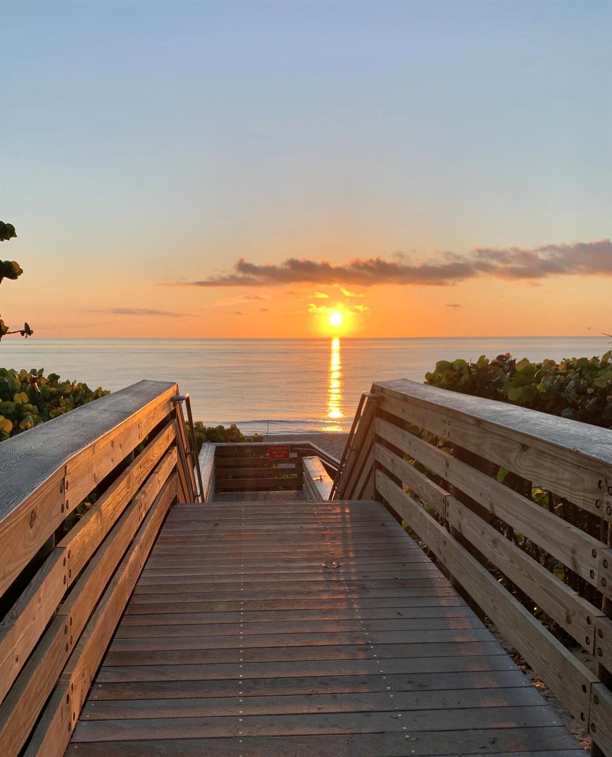 Little Club - Residential