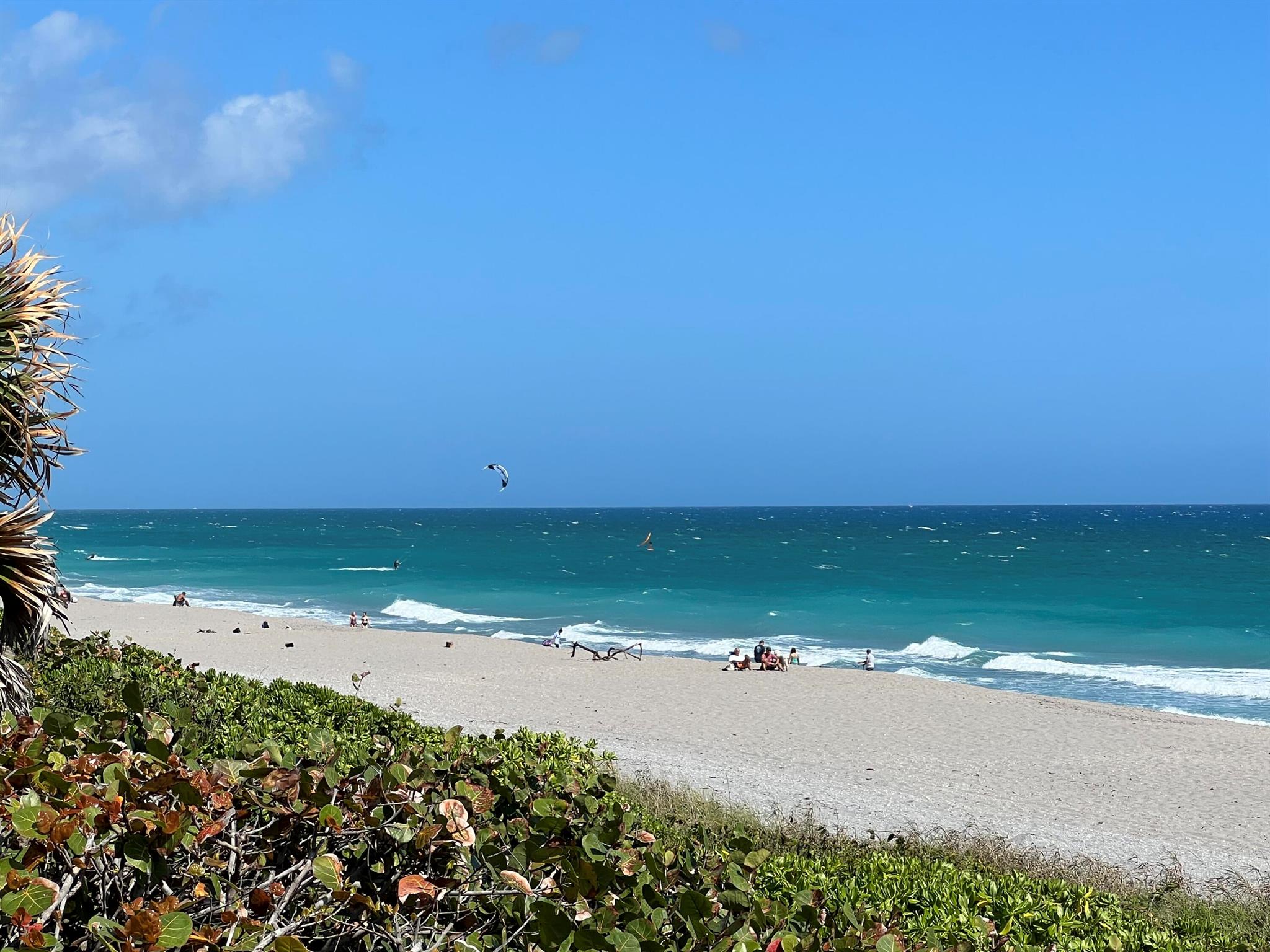 Little Club - Residential