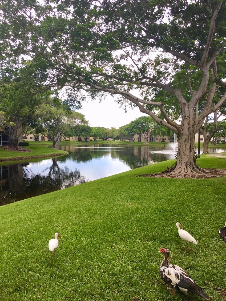 WATERS EDGE AT DEERFIELD CONDO - Residential Lease