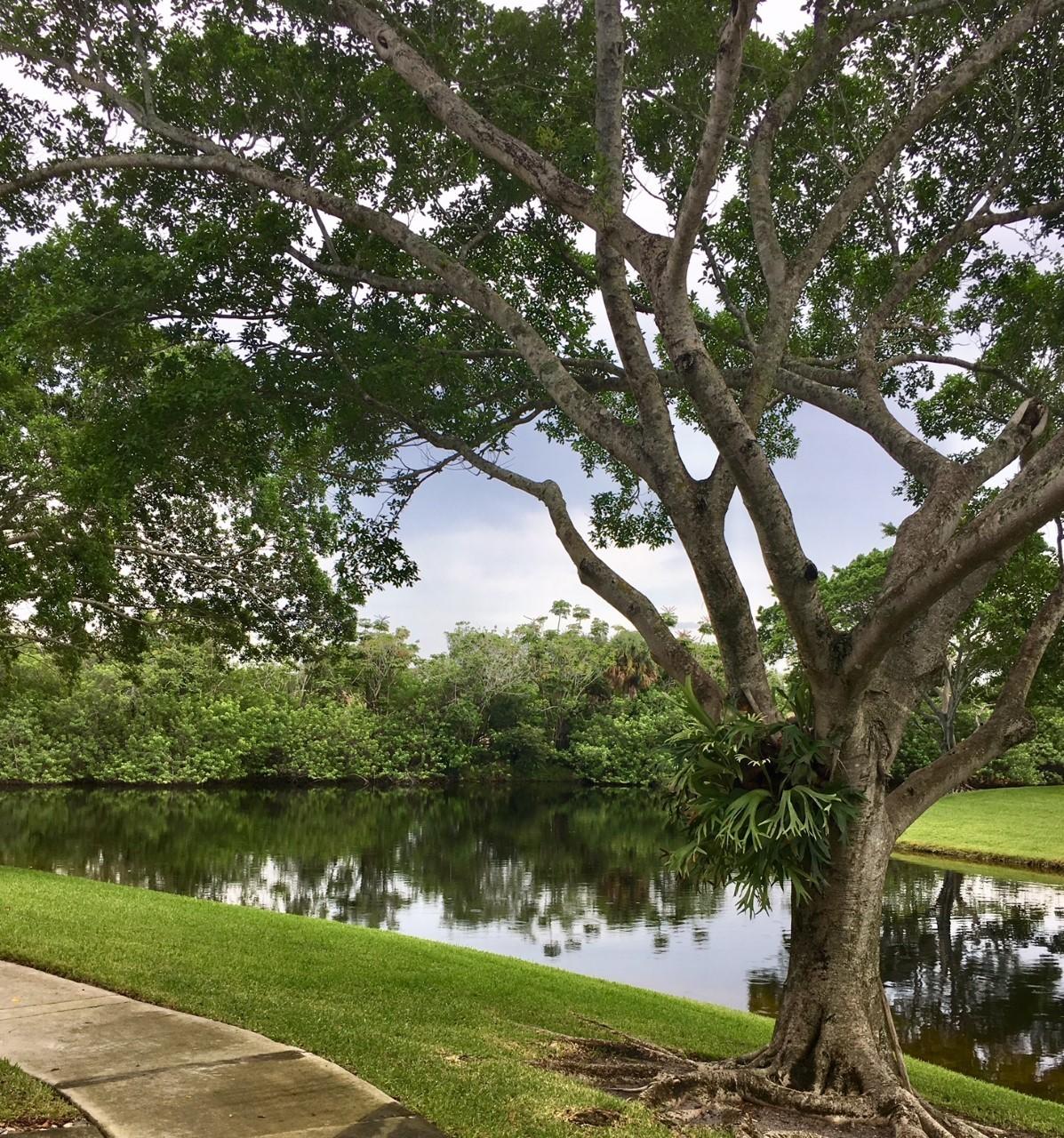 WATERS EDGE AT DEERFIELD CONDO - Residential Lease