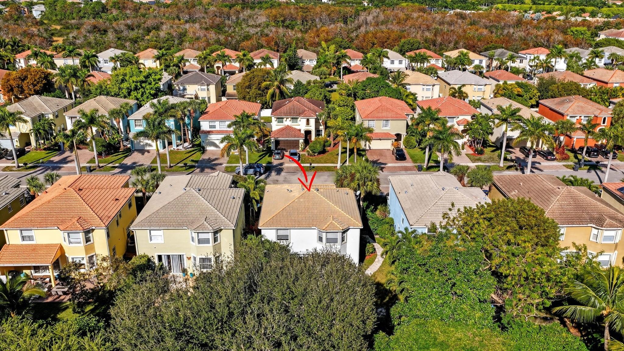 Olympia 02 Rep - Residential