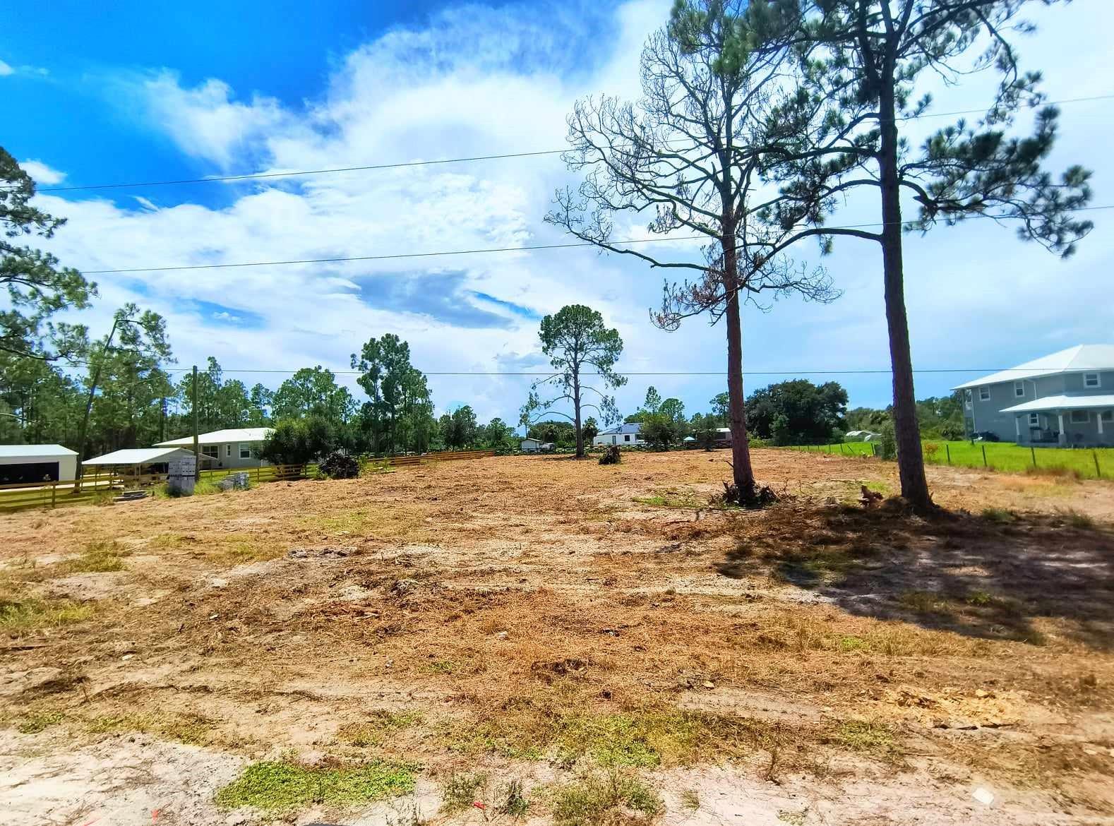1.25 acres in Wheeler Estates fully cleared with a culvert driveway - ready to build! Peaceful country living just outside of Fort Myers! Neighbors have already fenced three sides of this property! If you are ready to get away from it all, this is the perfect neighborhood to build your new home or weekend getaway. Homeowners may host livestock and grow fruit trees or gardens. Lots require installation of well and septic. Electric access will be permitted by Hendry County after approved building permits. Only 10-15 minutes from major shopping centers and services in Lehigh Acres. Fort Myers, Cape Coral, Naples: 30-40 minute drive. Miami, Fort Lauderdale, West Palm Beach: 2 -2.5 hour drive. A number of wildlife areas, the Caloosahatchee River and Lake Okeechobee are just a short drive away.