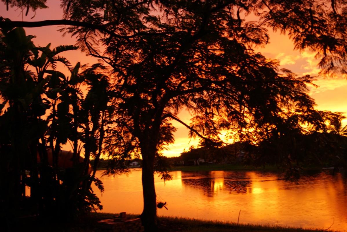 Towngate - Residential Lease