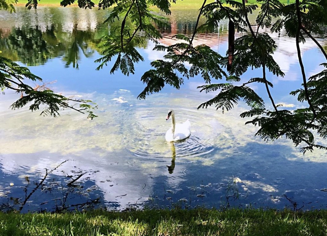 Towngate - Residential Lease