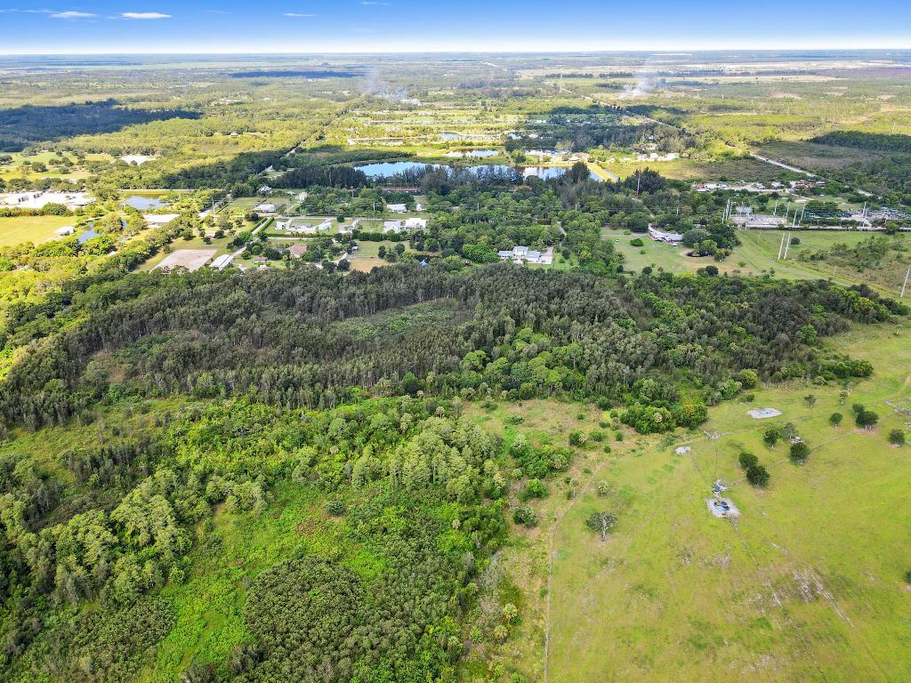 NANCY J WILLIAMS MINOR - Land