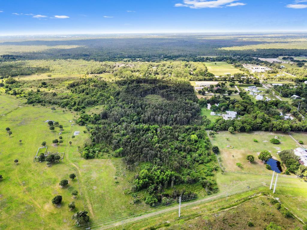 NANCY J WILLIAMS MINOR - Land