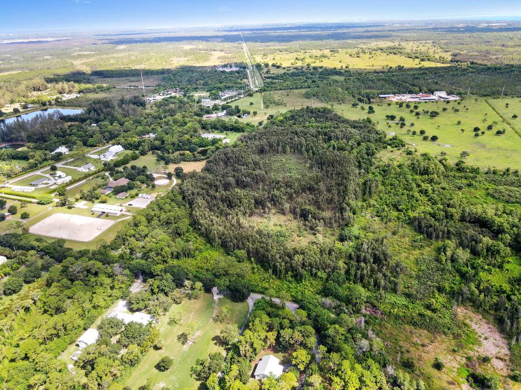 NANCY J WILLIAMS MINOR - Land