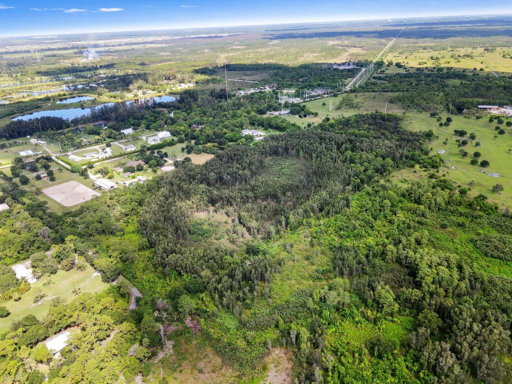 NANCY J WILLIAMS MINOR - Land