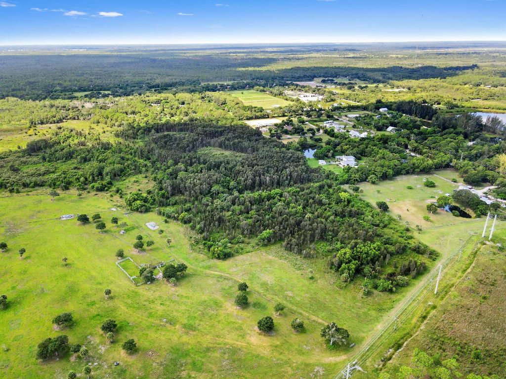 NANCY J WILLIAMS MINOR - Land