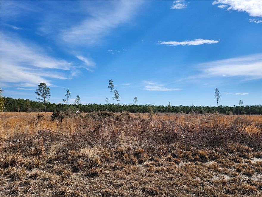 4.78 ACRES IN LIVE OAK-- "HINES PLACE"----BUILD YOUR NEW HOME AND STILL HAVE ROOM TO ROAM-----PAVED ROAD ON CUL DE SAC STREET-----$170 A YEAR HOA FEE-----LOCATED IN SUWANNEE COUNTY  FL-- MINUTES FROM I10 AND MAJOR ROADS------PERFECT BLEND OF LIFESTYLES----TONS OF POTENTIAL-----HIGH AND DRY------20 MIN TO DOWNTOWN LIVE OAK -----40 MIN TO LAKE CITY------60 MIN TO GAINESVILLE ----------80 MIN TO JAX---------90 MIN TO OCALA -----------30 MIN TO THE  SUWANNEE RIVER PARK--------  WHERE YOU CAN KAYAK, FISH AND ENJOY  OUTDOOR ACTIVITIES-----AND ------ICHETUCKNEE RIVER AND SPRINGS LESS THAN A HOUR AWAY FOR A TRUE NATURE RETREAT------PARCEL HAS BEEN CLEARED OF MOST TREES-----DONT MISS OUT ON THIS OPPORTUNITY