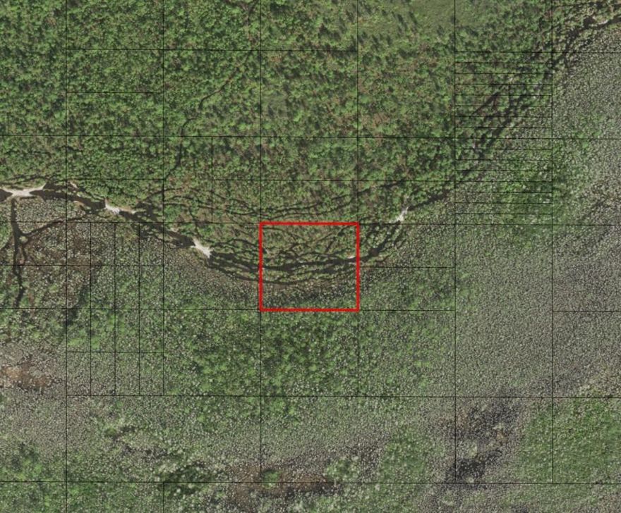 Recreational property in Holopaw! Ride, camp and huntOwner financing available