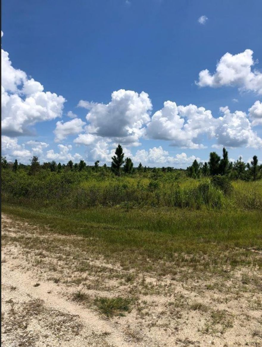 Having trouble finding owner financing in Indian Lake Estates? Look no further! Only $2,500 down for this buildable lot, with no closing costs.