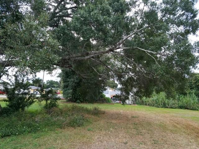 NORTHMOOR GARDENS - Land