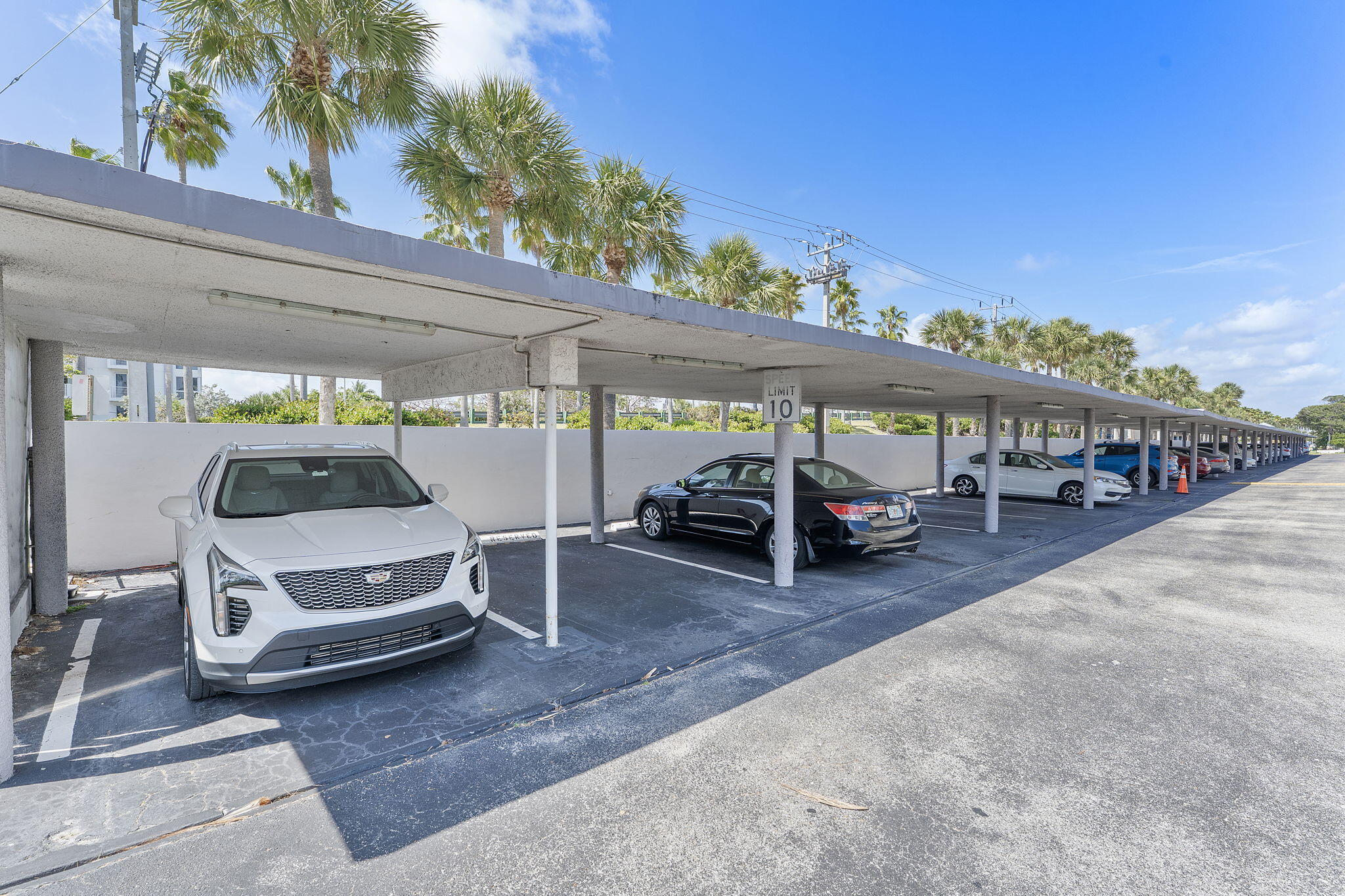 PENTHOUSE NORTH CONDO - Residential Lease