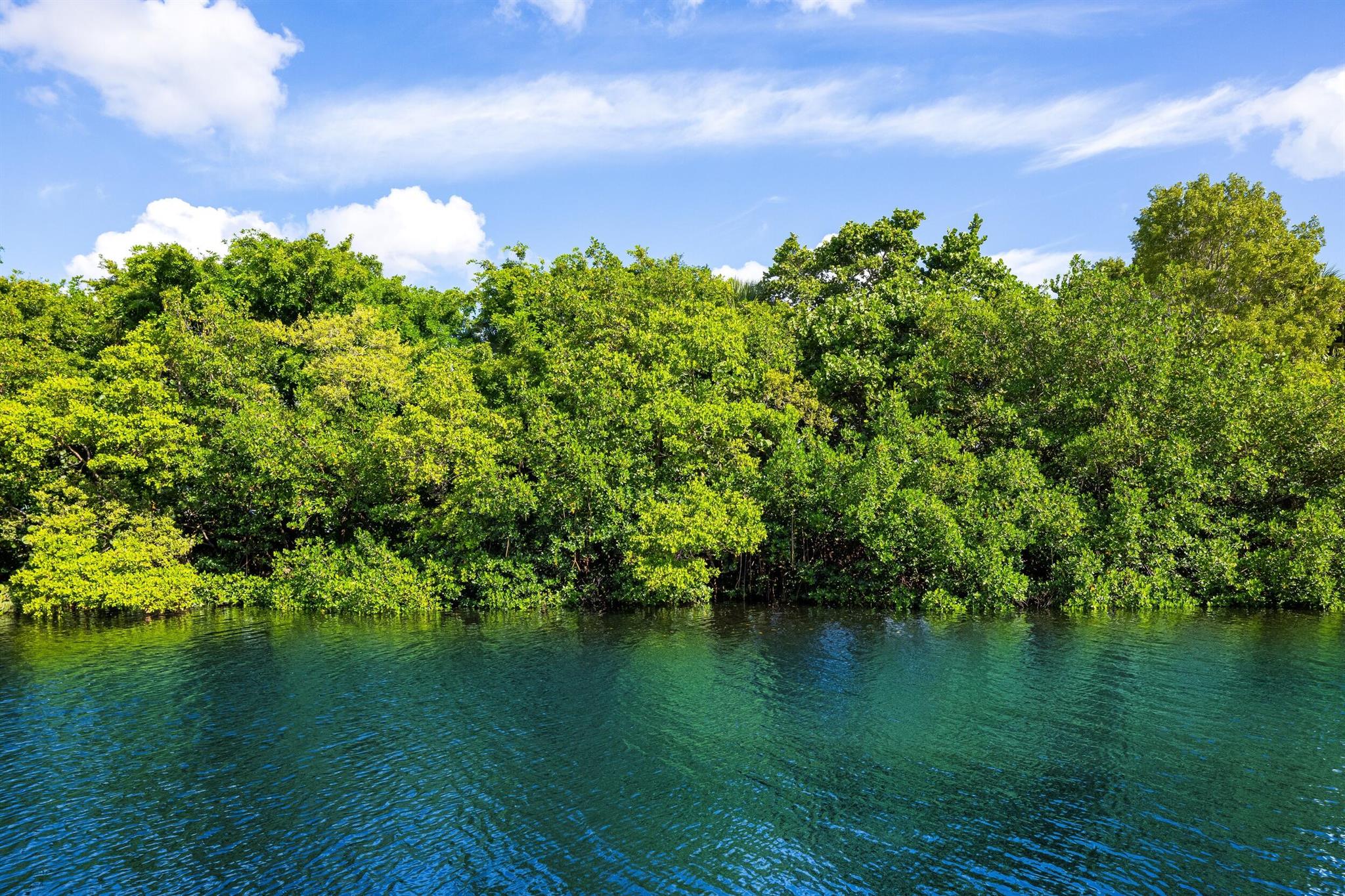 HARBOUR ISLES - Residential