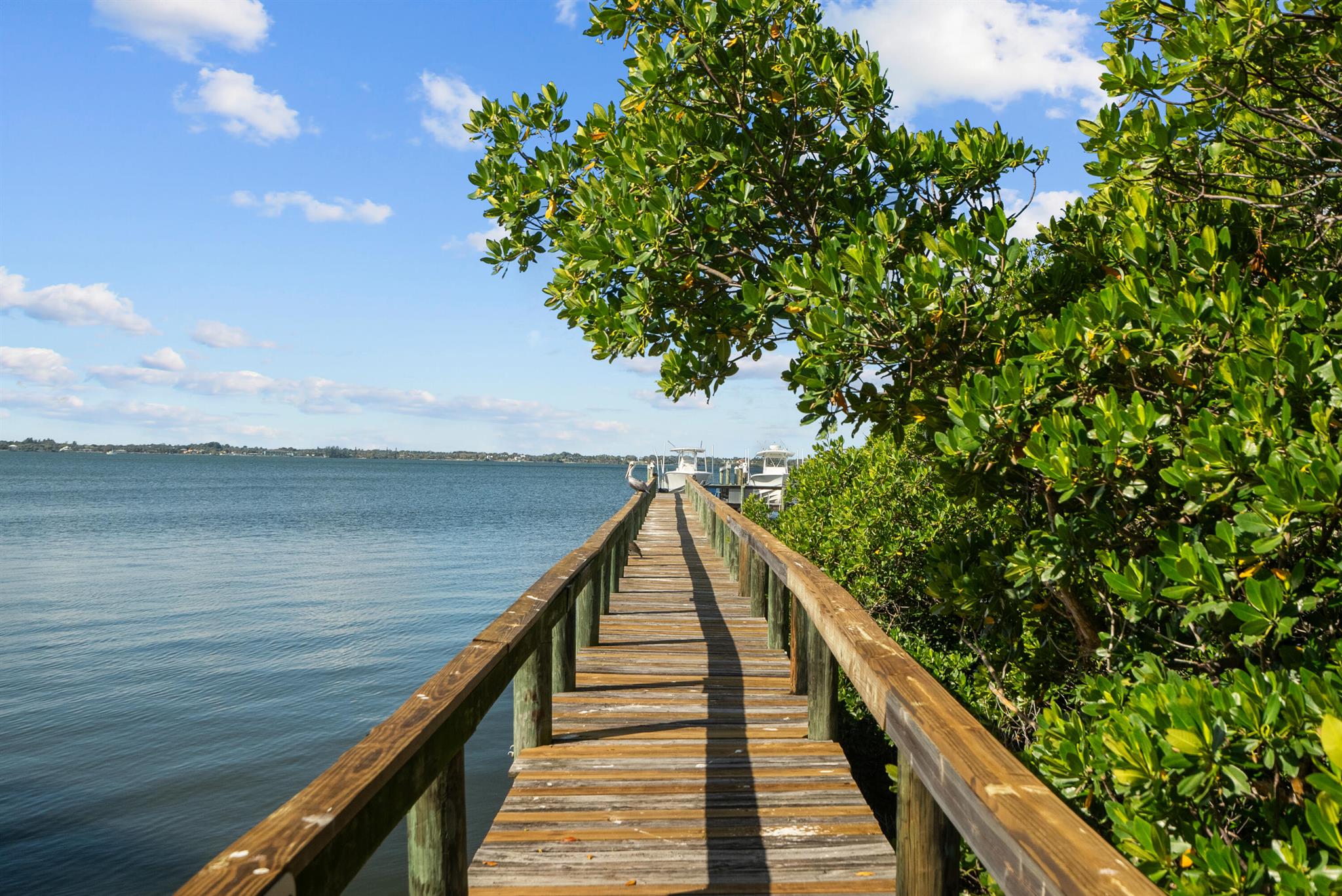 Tradewinds Condo - Residential Lease