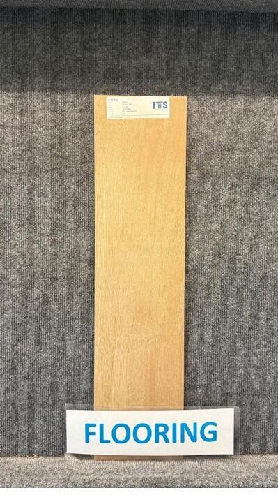 DEL WEBB TRADITION - Residential