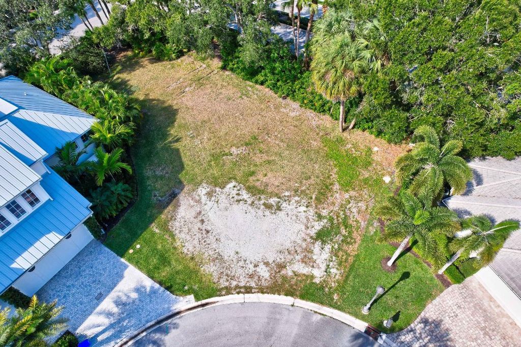 Photo of 187 Birkdale Lane, Jupiter, FL 33458 (MLS # R11151371)